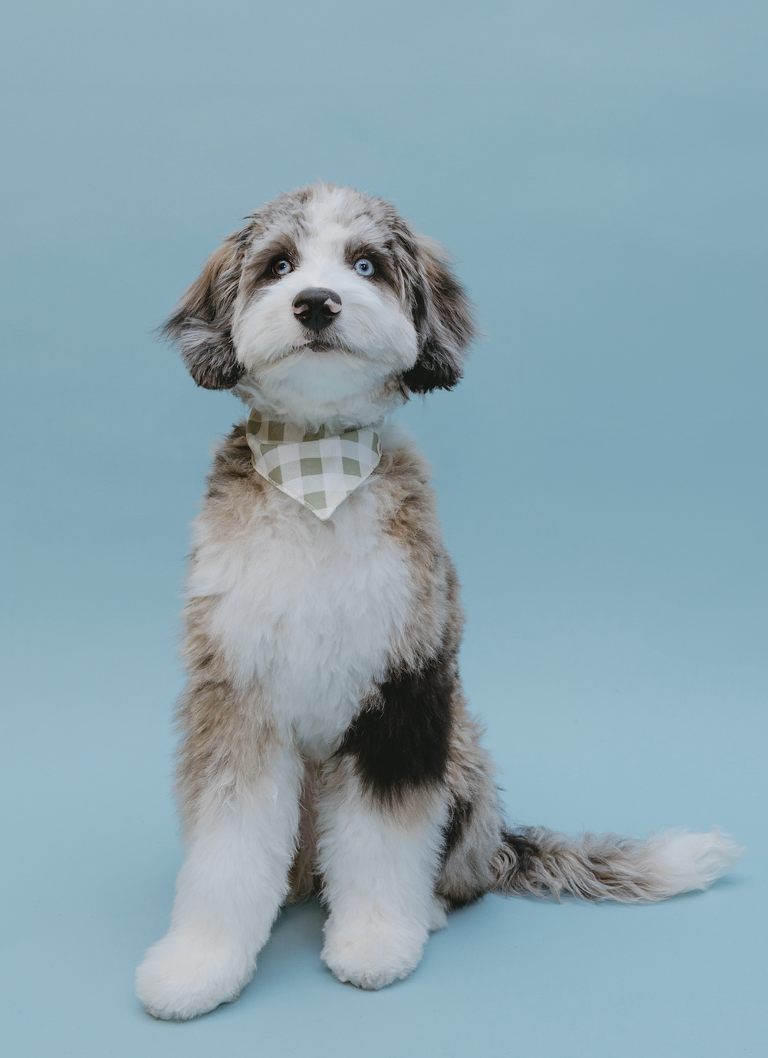 Bandana Pastel Vichy