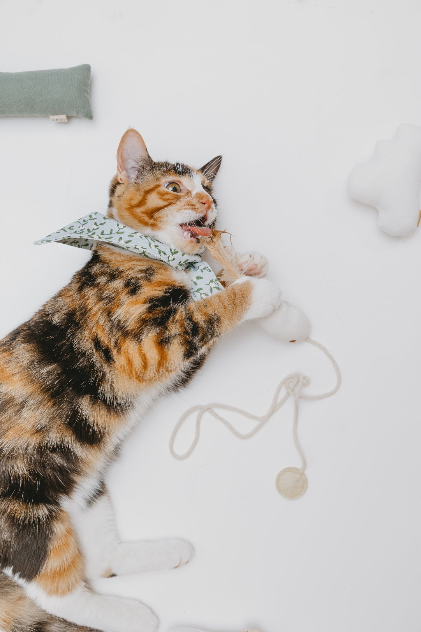 Bandana Fur-get-me-not