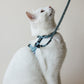 White Cat wearing Bloire Leash and Harness Blue Rainbow 