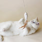 White Cat playing with Bloire Cat Toy Golden Fish